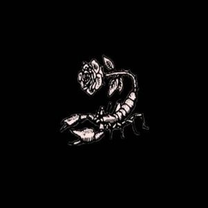 Meet your Posher, Whitney